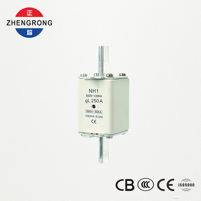 CE & IEC Certified Fuse Link NH1 500V 250A High Breaking Capacity