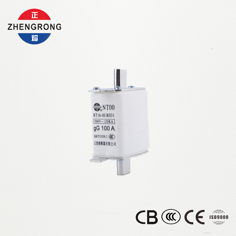 High Breaking Capacity NT00 100A Fuse - 500V 120kA Ceramic gG Fuse Link