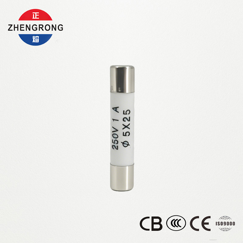 High-Quality 5x25mm R055 1A Fuses for Wholesale Buyers